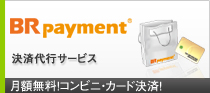 決済代行サービス　BR payment